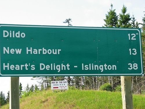 best of Canada Dildo bay