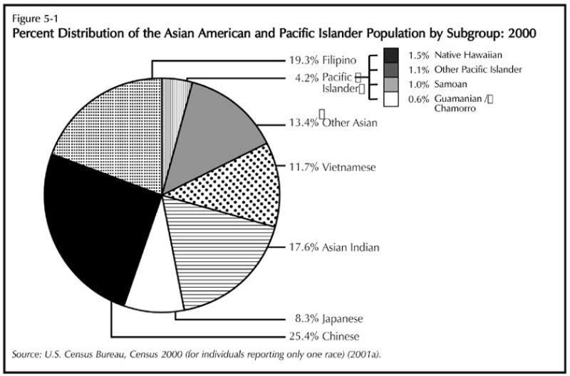 Asian population subgroups in census 2000