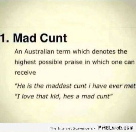 Cunt its meaning