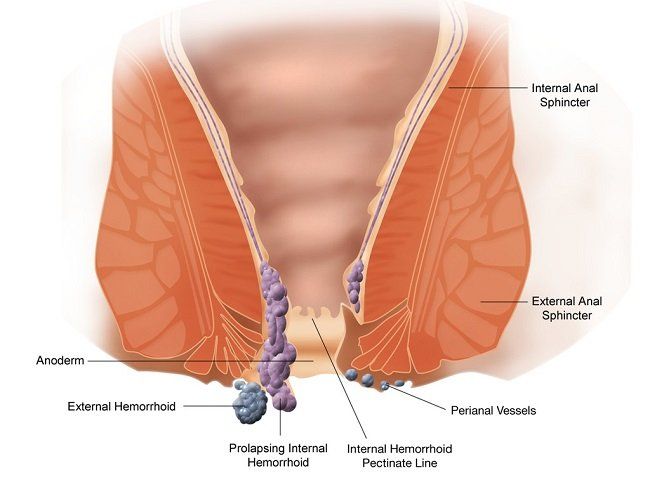 best of Anus to Lump adjacent