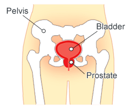 best of Masturbation prostatitis Bad