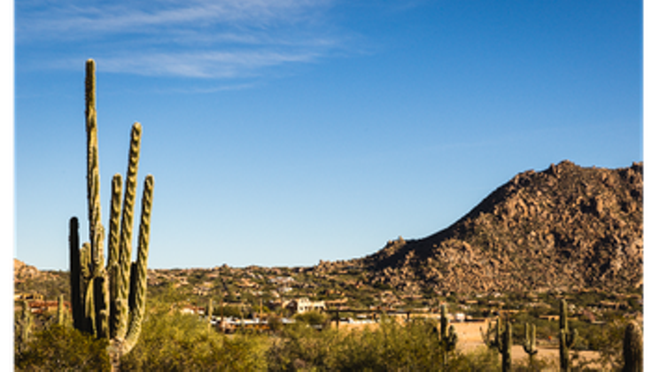 Mature community for a desert