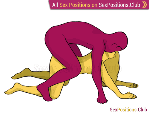 Monkey position sex spider