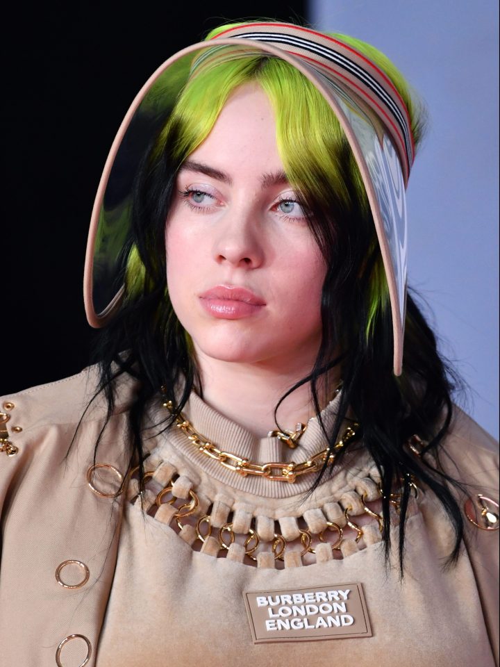 Gully reccomend billie eilish looped