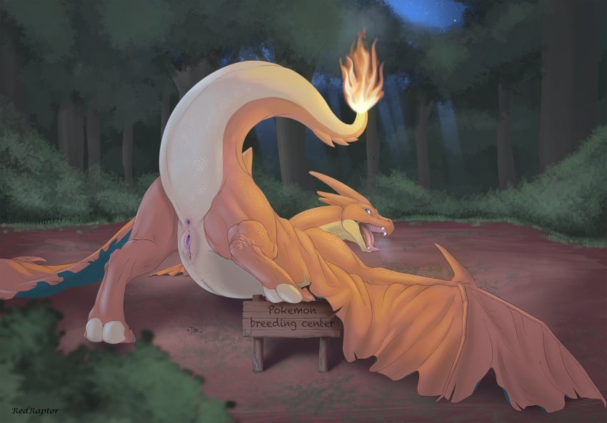 Charizard sexy dragon